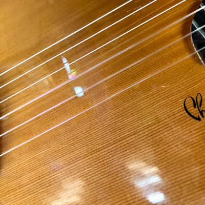 Gibson Chet Atkins Ren Ferguson SST Nylon String Acoustic Electric with Case - Pre Owned image 14