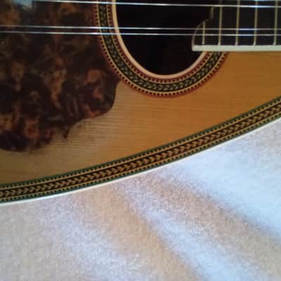 Washburn Model 130 1895-1900 - Gloss image 18