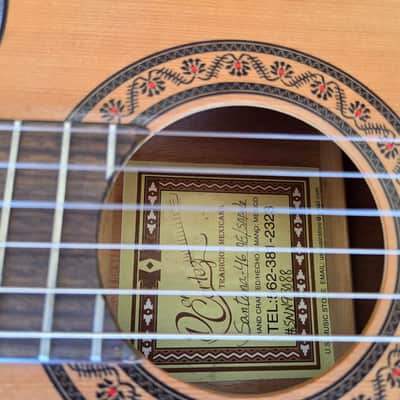 Don Cortez Santana Model 46 AE/Sapele Acoustic Electric Nylon String Cutaway Guitar wGB image 8