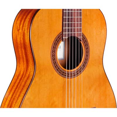 Cordoba Requinto 580mm (1/2 size) image 3