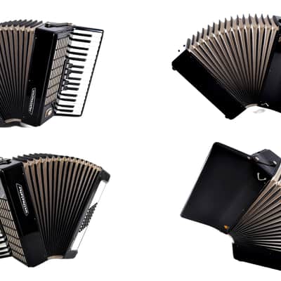 German Made Top Quality Accordion Weltmeister Stella - 48 bass, 5 registers + Original Hard Case & Straps included image 16