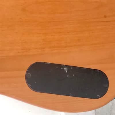 Peavey Palaedium Bass - Jeff Berlin Model 1992 Amber image 7