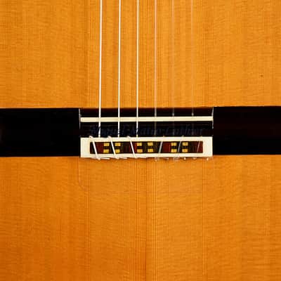 Flamenco Concert Guitar Ayamonte Model "La Canastera" - "The Basket Maker" image 4