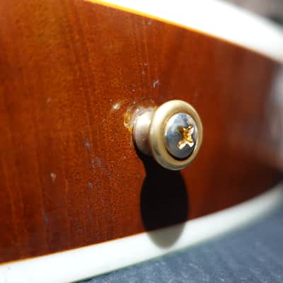 Gibson Les Paul Supreme 2005 - Rare Root Beer Finish! image 11