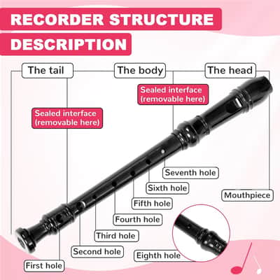Soprano Recorder Instrument for Kids Student - Fingering 8 Hole Flute ABS Descant Recorders for Beginners 3pcs Removable with Cleaning Rod and Storage Bag, Black image 3