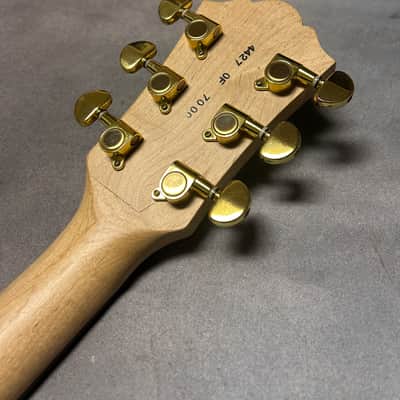 Lyon by Washburn LI15 Limited Edition Joe Trohman of Fall Out Boy image 5