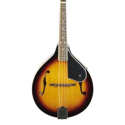 Washburn M1 Mandolin Pack with Gigbag image 2
