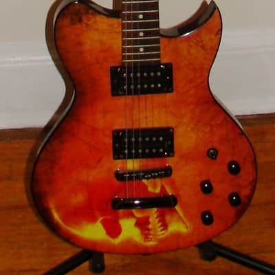 Washburn WI16 G12 Idol Solar Skull - Rare Guitar image 1