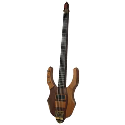 Alexander Behr Inspire! Double-Sided Bass Owned by Victor Wooten image 2