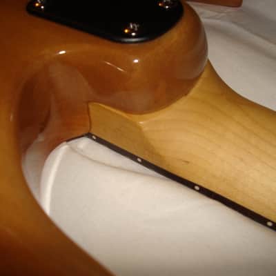 PRS SE CE24 - Blood Orange - PRS Gig Bag image 7