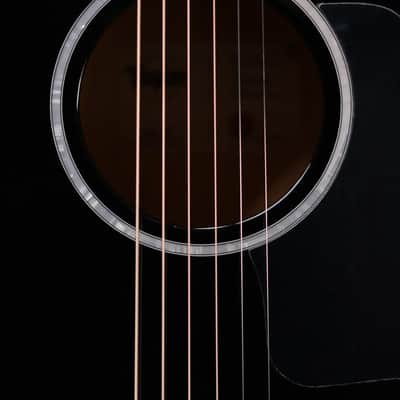 Taylor 214ce-BLK Plus Grand Auditorium Acoustic/Electric Guitar - Black with Aerocase image 9