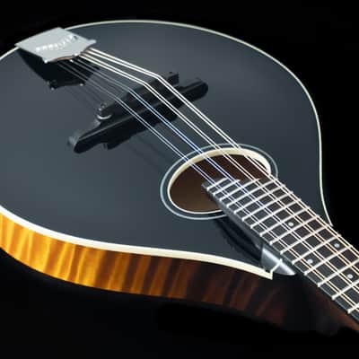 Collings MT-O, Black Gloss Top, Engelmann, Maple - NEW image 12