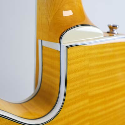 Harmony H620 Single Cut Semi-Hollowbody (~2008) image 13