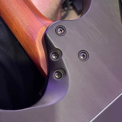 Balaguer Diablo evertune guitar image 5