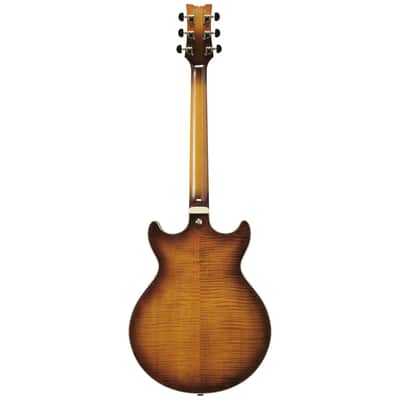 Ibanez AM153FM-ATT image 2