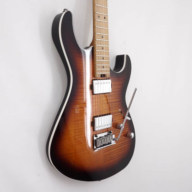 2022 – Present Cort G290 FAT II Antique Violin Burst