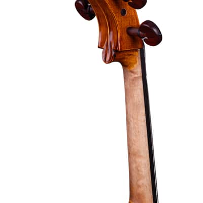 Goffriller Cello 4/4 from One Piece Back - Hand-Made in Romania 2025 #78 image 17