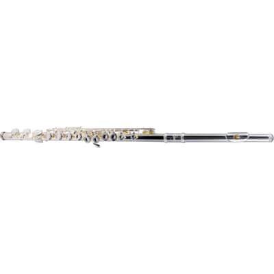 Etude EFL-200 Student Series Flute with Offset G, C-Foot