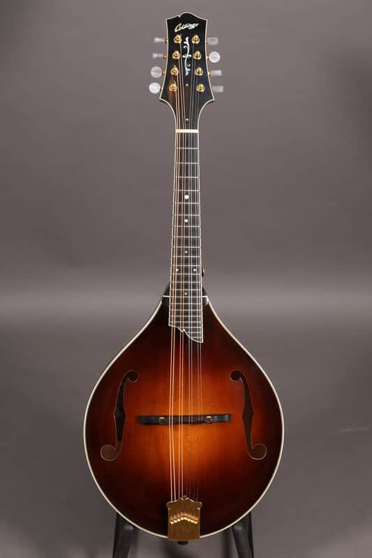 Collings MT2