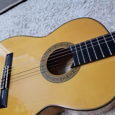 Aria Flamenco AC-150F (Spain) image 6