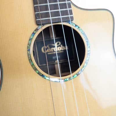 Cordoba 32T-CE Tenor Ukulele with gigbag, pickup and cutaway image 16