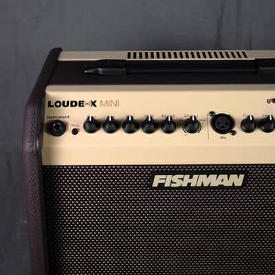 Fishman PRO-LBT-500 Loudbox Mini + Bluetooth image 12
