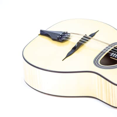 Dell'Arte Pigalle Mandocello Owned by Nancy Wilson of Heart image 5