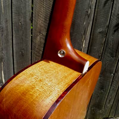 Harmony Baxendale Conversion H162 1961-65 Aged Natural Gloss image 9