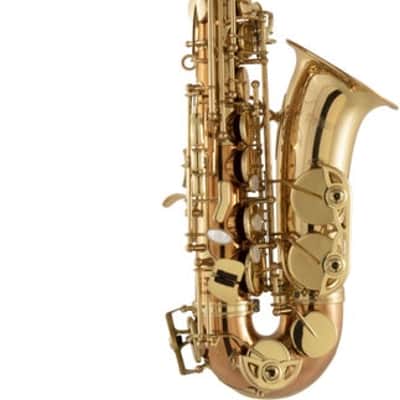 Selmer SAS511 Intermediate Alto Saxophone - Copper Finish imagen 2