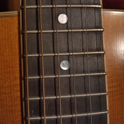 Taylor 422R Rosewood 1996 - 1997  Limited Edition image 19