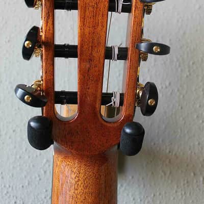 Brand New Cordoba C10 Cedar Top Classical Guitar image 9
