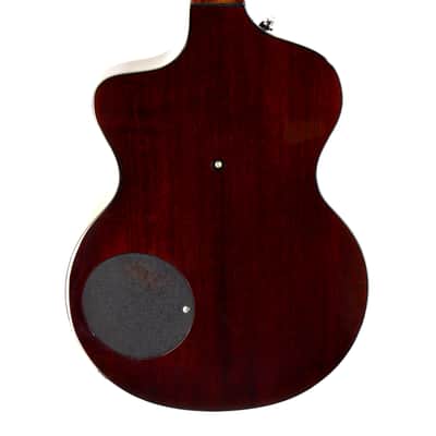 Rick Turner Model 1 CLBP Lindsey Buckingham Piezo Electric Guitar image 10