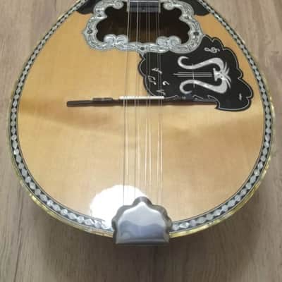 Greek Bouzouki & Hardcase & pickup & tuner & 300 MP3 backing track with pdf scores 8string image 1
