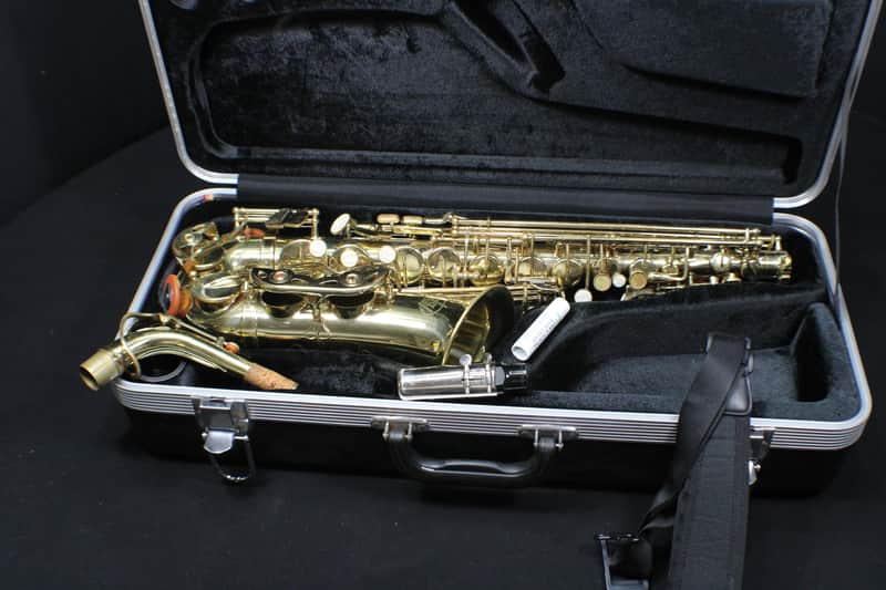 Sky Alto Saxophone Complete & in it's Original Case 3 S image 1