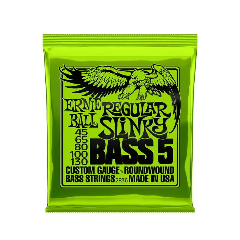 Ernie Ball Regular Slinky 5-String Nickel Wound Electric Bass Strings - 45-130 image 1