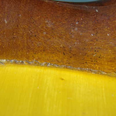 Ventura Bruno Royal Artist Model 1600F Flamenco Acoustic Guitar W/Case image 10