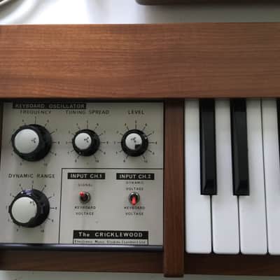 EMS VCS3 1969 image 10