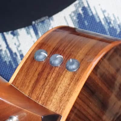 *MINT & RARE* 2022 Taylor 712e 12-Fret Lutz Spruce/RW image 10