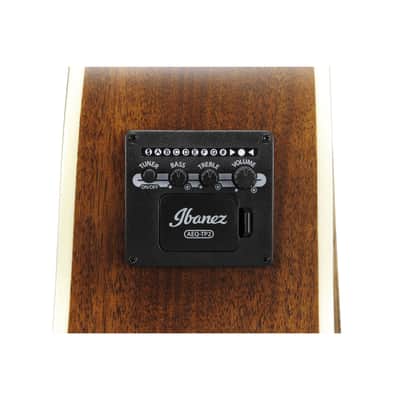 Ibanez AE100-DBF - Acoustic Guitar image 8