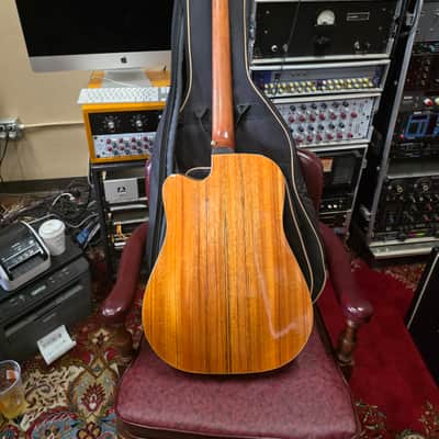 Fender Victor Bailey VB-2 acoustic bass guitar image 7