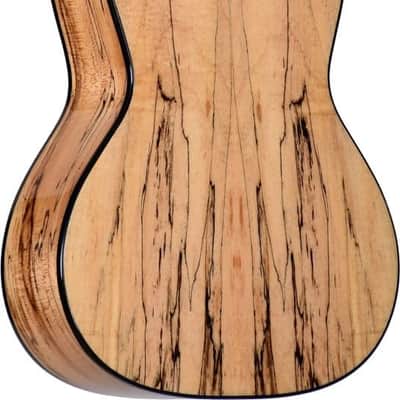 Teton TC130SMG 130 Series Concert Body Solid Spruce Top Mahogany Neck 4-String Ukulele image 2