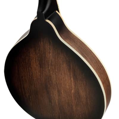 Ortega RMAE30-WB Americana Series Spruce Top Maple Neck F-Holes A-Style 8-Strings Mandolin image 8