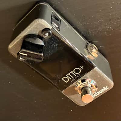 TC Electronic Ditto+ Looper 2020 - Present - Black image 2