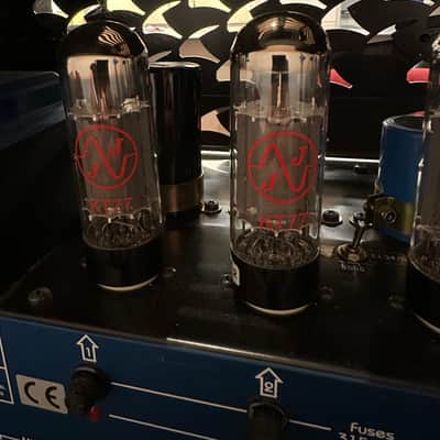 1996 Diezel Blueface VH4S Stereo RARE Adam Jones Tool image 11