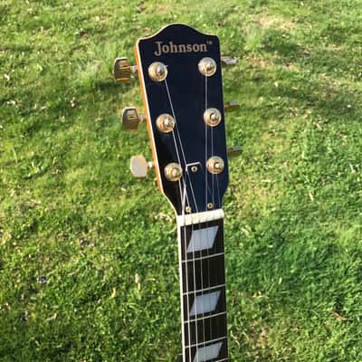 Johnson Archtop Hollowbody Electric Guitar Striped Maple image 4