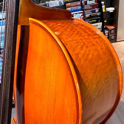 Student Cello: 1/2 Cello - Segue Concertino Plus 2016 - Oil varnish image 11