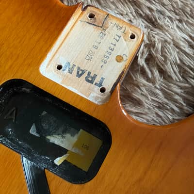 2025 Fender American Performer Telecaster Body - Honeyburst image 4
