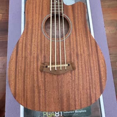 Gold Tone Micro Bass M-Bass25 image 7