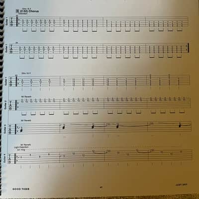 Good Tiger - We Will All Be Gone - Guitar tab / Tablature Book image 4