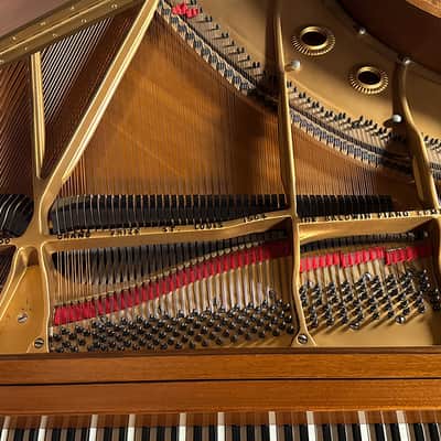 Baldwin L 1971 - Walnut satin 194141 image 3